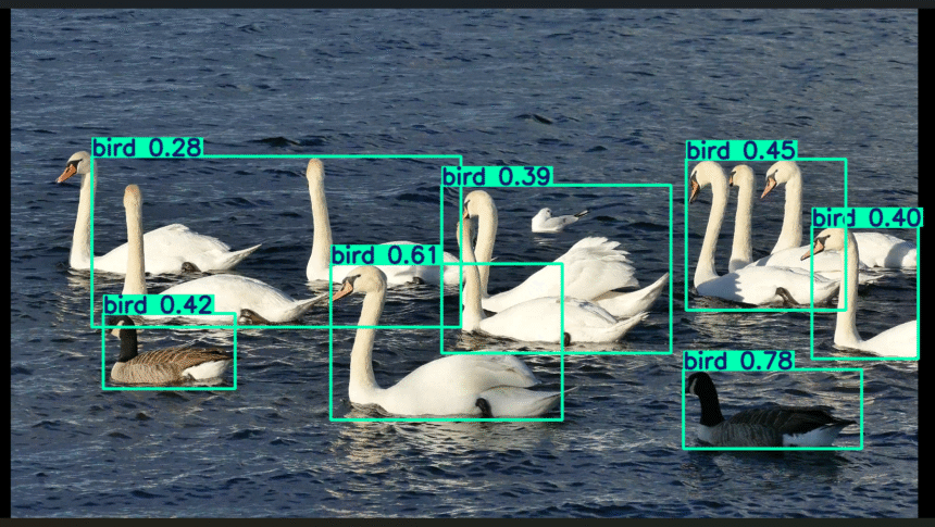 Real-Time Counter Using YOLO12 and Virtual Line Crossing Detection ...